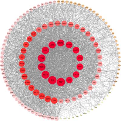 Exploring the potential mechanisms of Shiwei Hezi pill against nephritis based on the method of network pharmacology